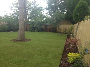 Landscaping Esher